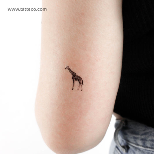 Tatuaje temporal de jirafa - Juego de 3