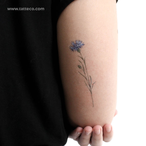 Cornflower By Ann Lilya Temporary Tattoo - Set of 3