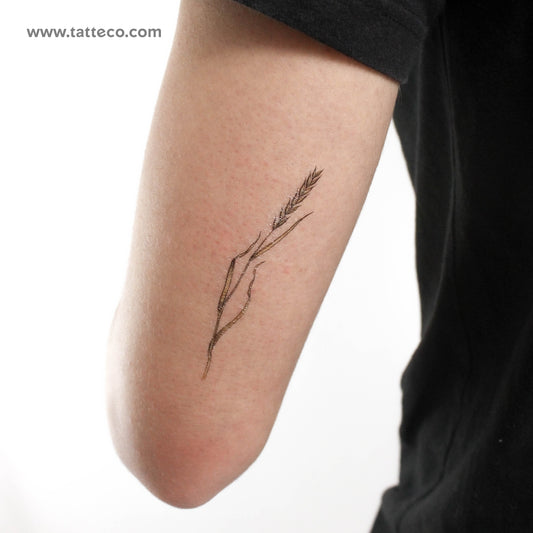 Tatuaje temporal "Trigo" de Ann Lilya - Juego de 3