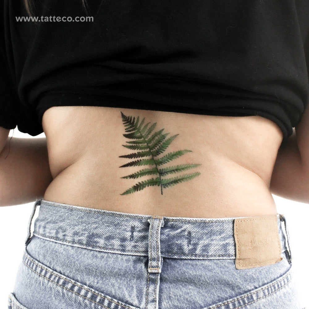 Fern Frond By Ann Lilya Temporary Tattoo