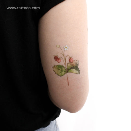 Tatuaje temporal de fresas silvestres de Ann Lilya (juego de 3)