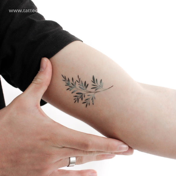 Green Leaves By Ann Lilya Temporary Tattoo - Set of 3