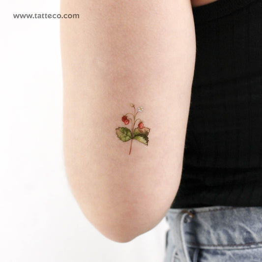 Tatuaje temporal de fresas silvestres pequeñas de Ann Lilya (juego de 3)