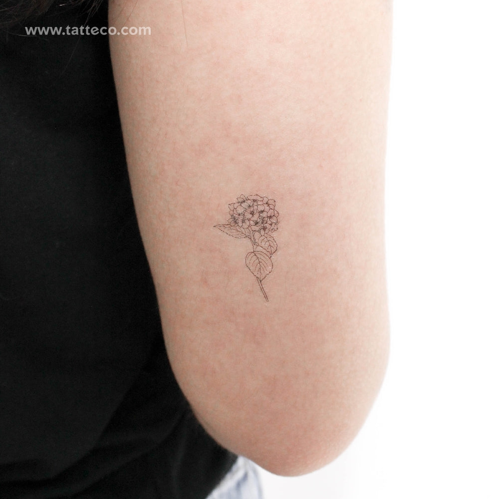 Hydrangea Temporary Tattoo - Set of 3