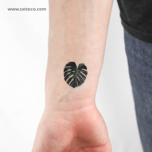 Tatuaje temporal de hoja de Monstera - Juego de 3