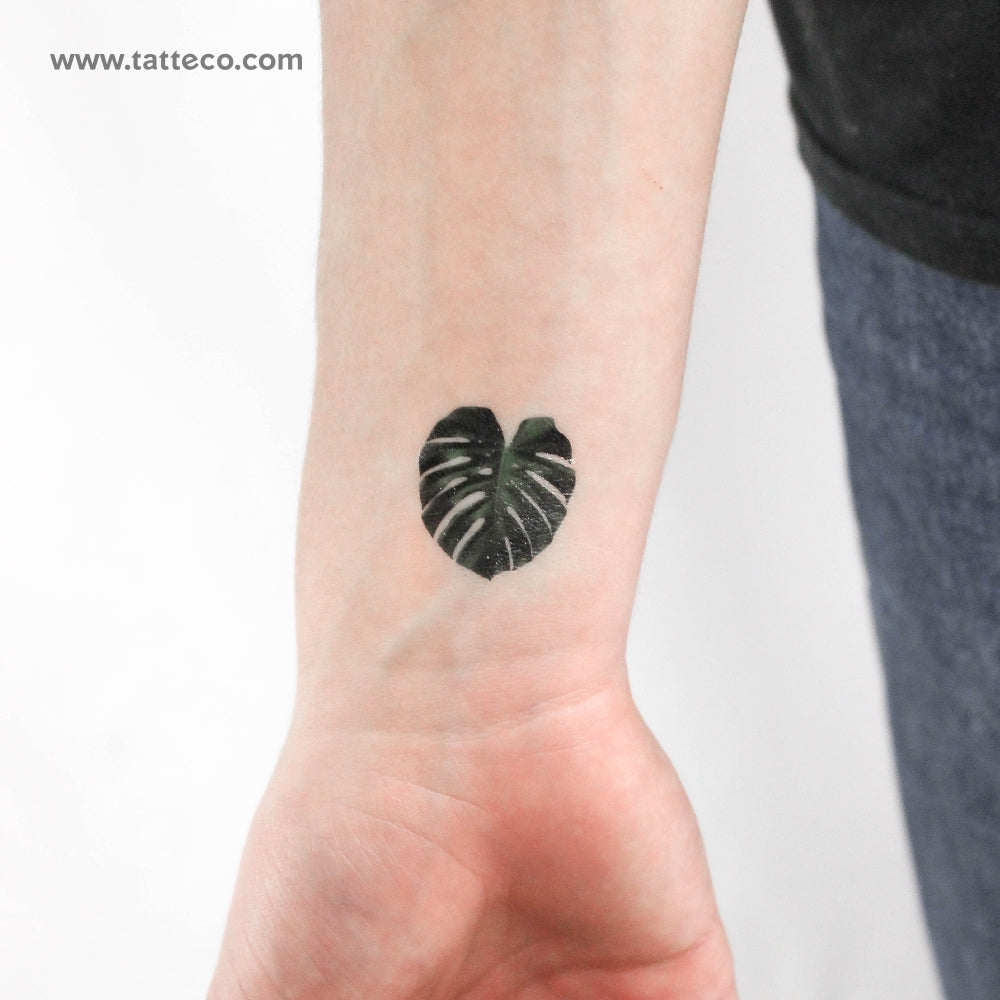 Monstera Leaf Temporary Tattoo - Set of 3
