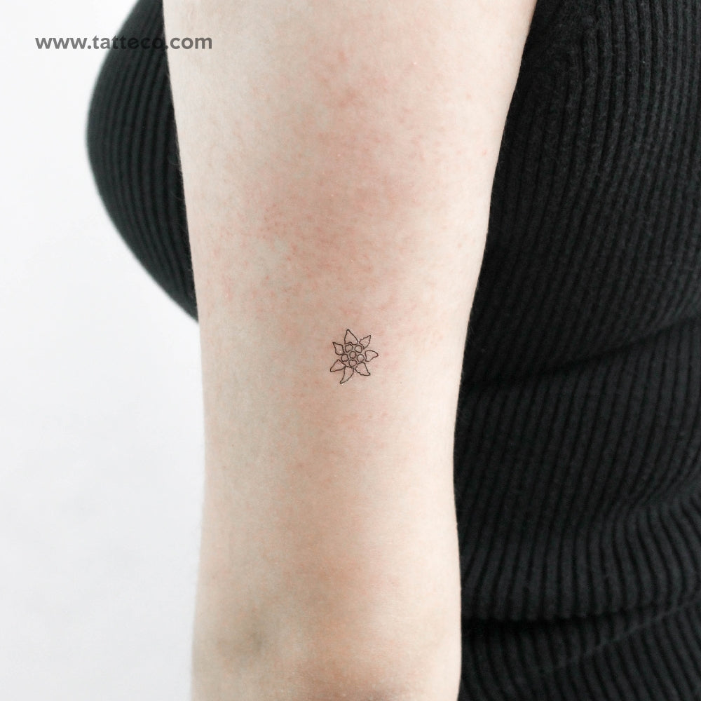 Edelweiss Outline Temporary Tattoo - Set of 3