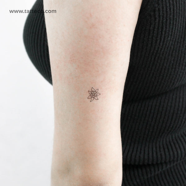 Edelweiss Outline Temporary Tattoo - Set of 3