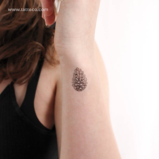 Conifer Cone Temporary Tattoo - Set of 3