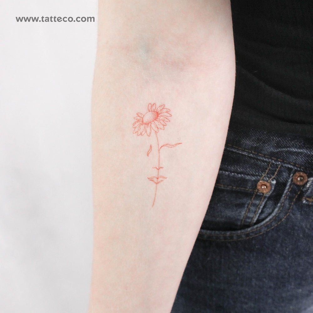 Tatuaje temporal "Una margarita soñadora" [Rojo] de Jakenowicz - Juego de 3