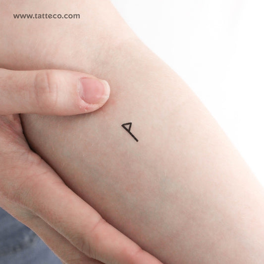 Tatuaje temporal de la runa Wynn (juego de 3)