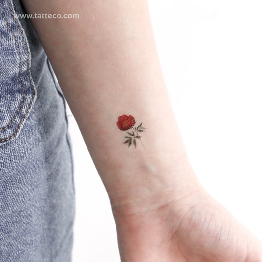 Tatuaje temporal de peonía rosa - Juego de 3