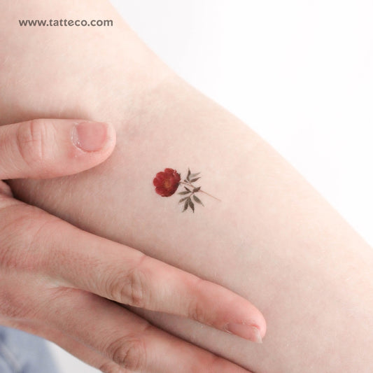 Tatuaje temporal de peonía rosa - Juego de 3