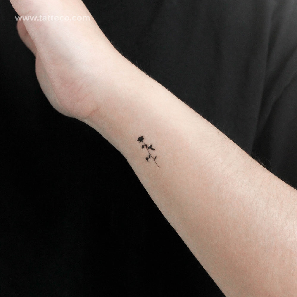 Tatuaje temporal de rosa negra pequeña (juego de 3)