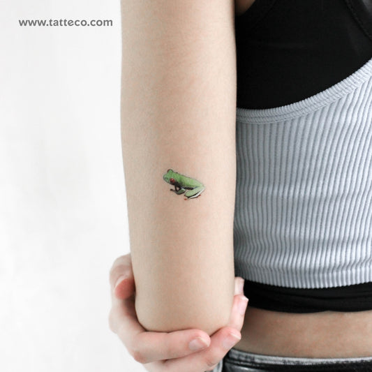 Red Eyed Tree Frog Temporary Tattoo - Set of 3