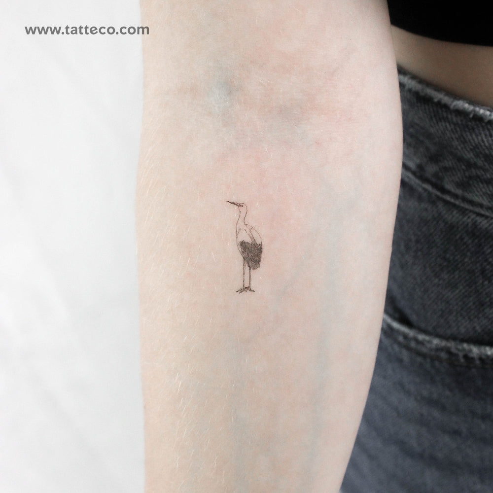 Tatuaje temporal de cigüeña - Juego de 3