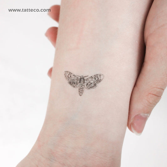 Tatuaje temporal de polilla pequeña - Juego de 3