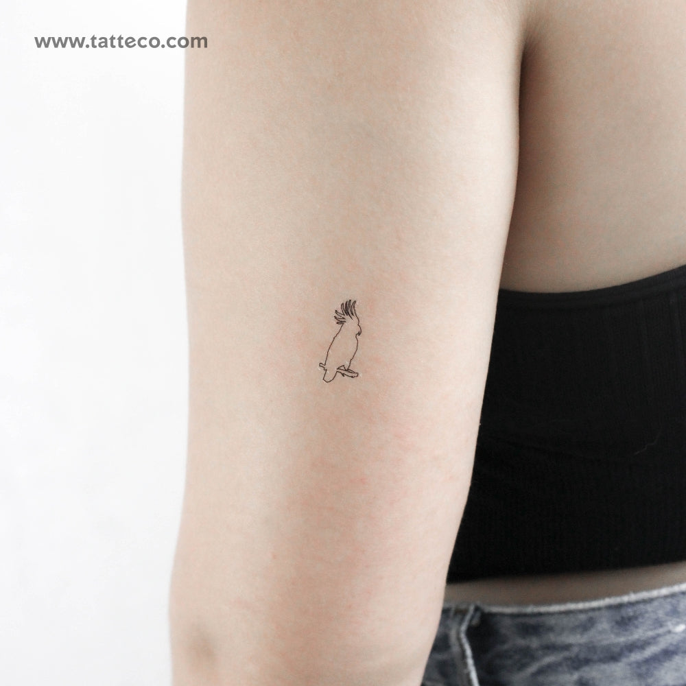 Fine Line Cockatoo Temporary Tattoo - Set of 3 – Tatteco