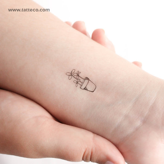 Plant Temporary Tattoo - Set of 3