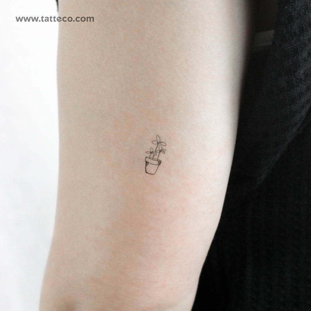 Plant Temporary Tattoo - Set of 3
