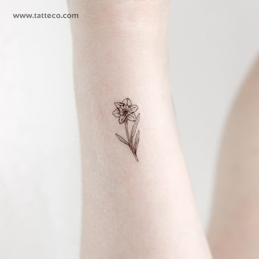 Narcissus Temporary Tattoo - Set of 3