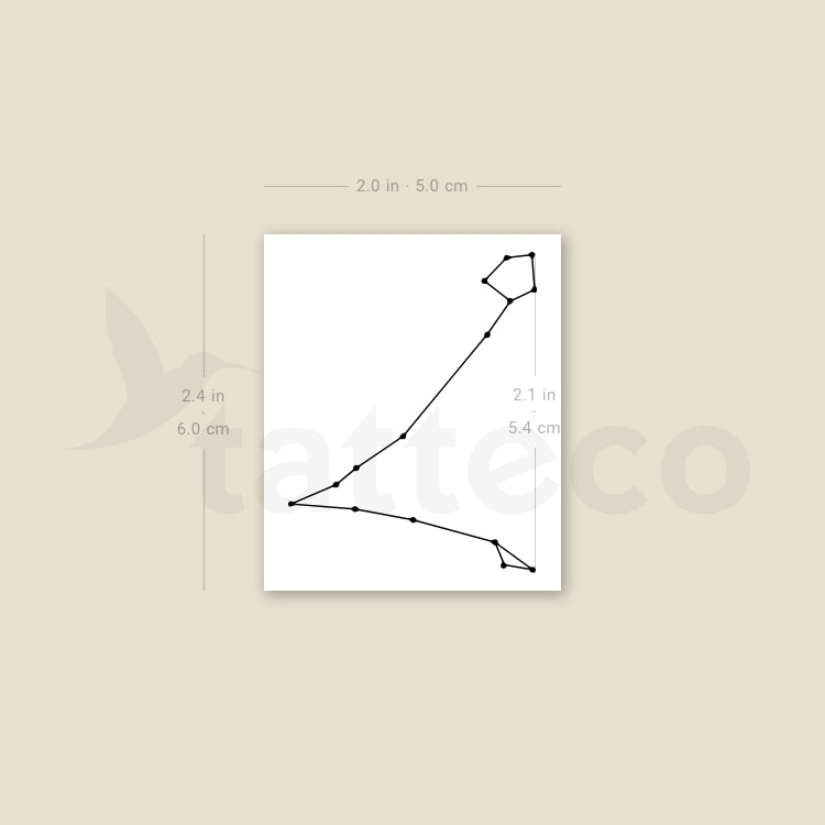 Tatuaje temporal de la constelación de Piscis (juego de 3)