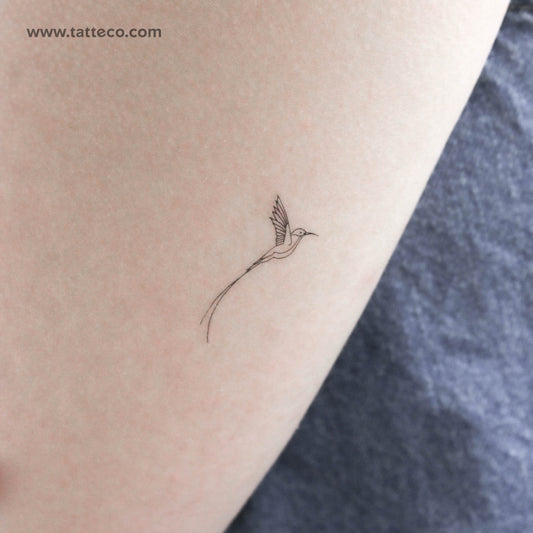 Long-tailed Sylph Hummingbird Temporary Tattoo - Set of 3