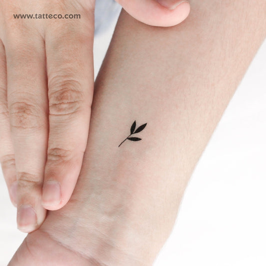 Tatuaje temporal de un pequeño brote negro (juego de 3)