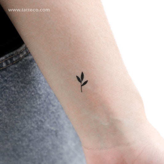 Tatuaje temporal de un pequeño brote negro (juego de 3)