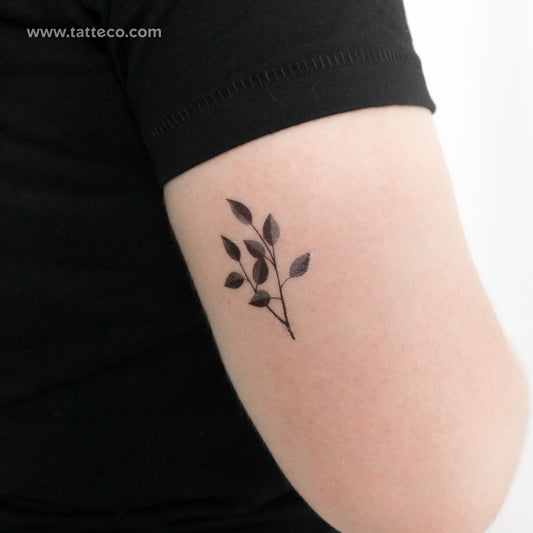 Tatuaje temporal de hojas grises - Juego de 3