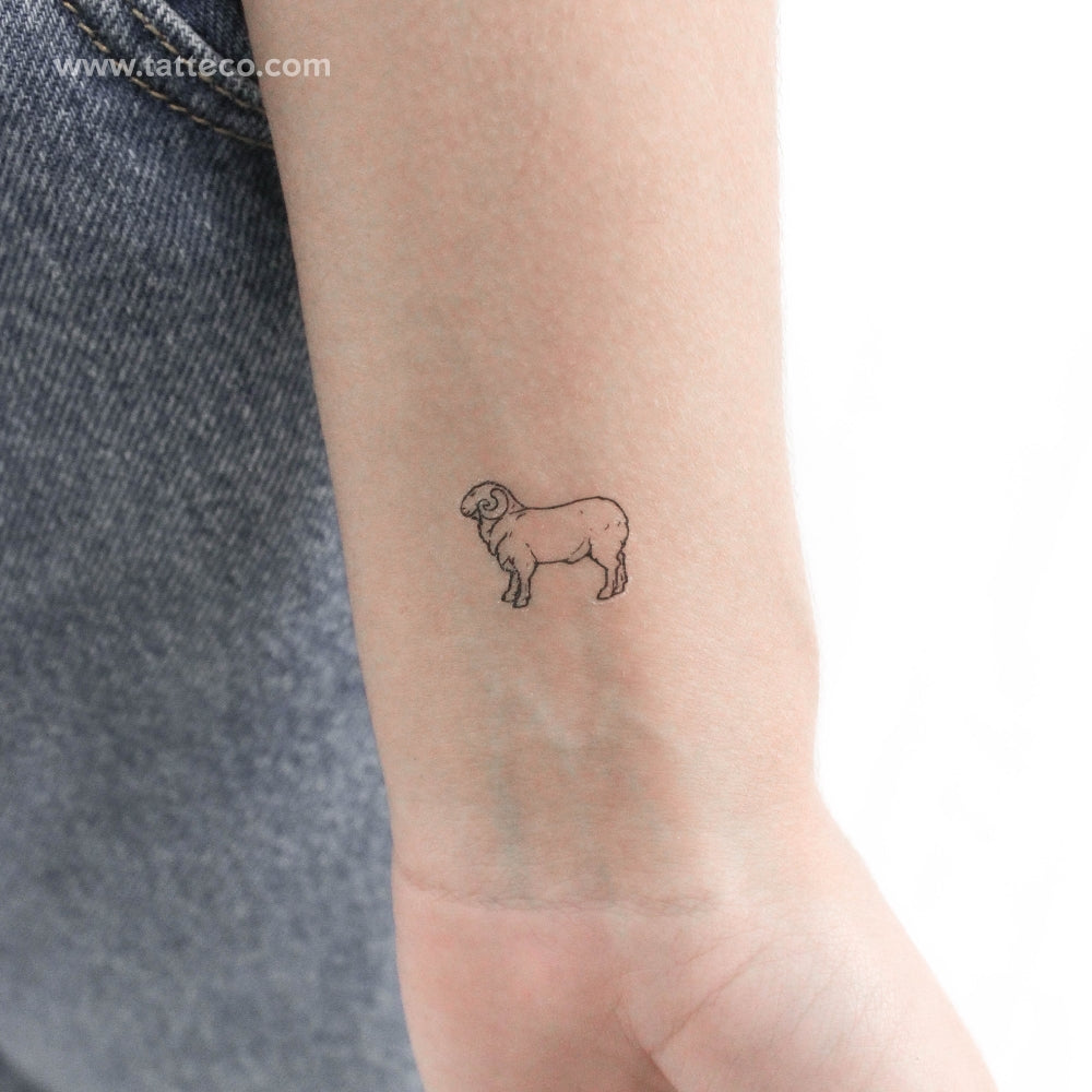 Tatuaje temporal de carnero - Juego de 3