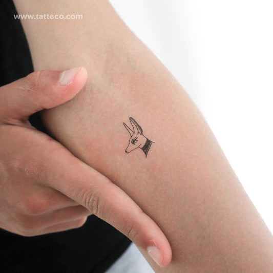Tatuaje temporal de Anubis - Juego de 3
