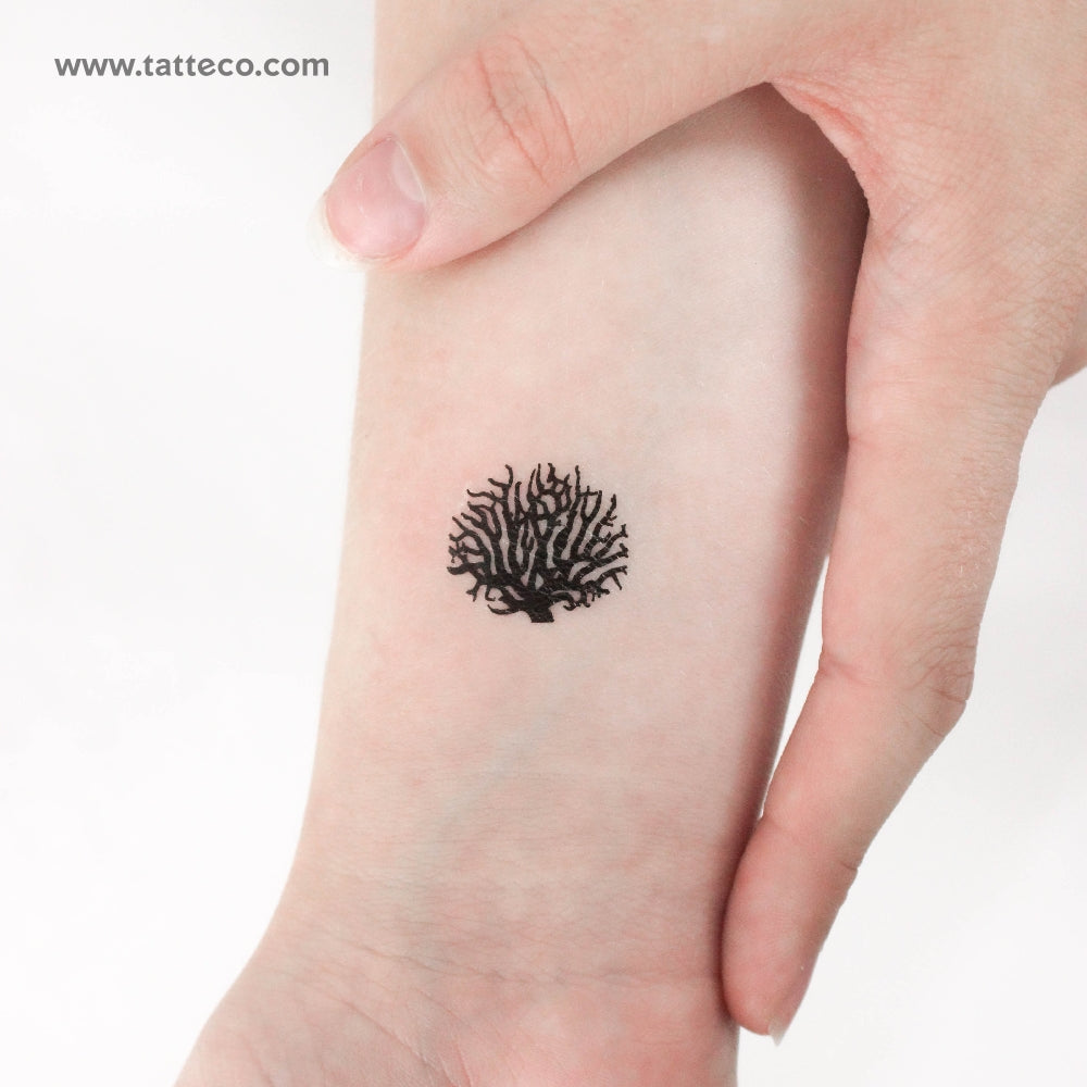 Tatuaje temporal de coral - Juego de 3