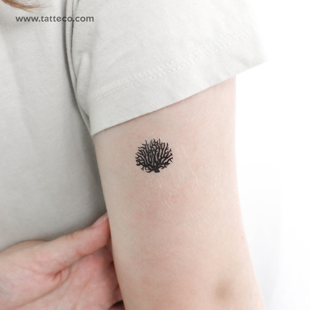 Tatuaje temporal de coral - Juego de 3