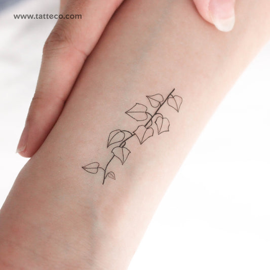 Ivy Plant Temporary Tattoo - Set of 3