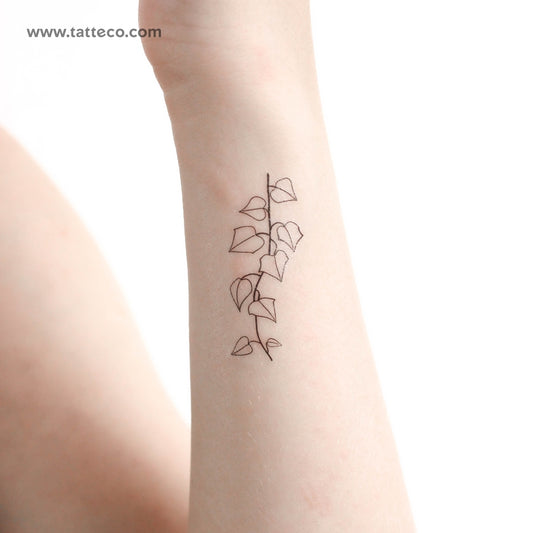 Ivy Plant Temporary Tattoo - Set of 3