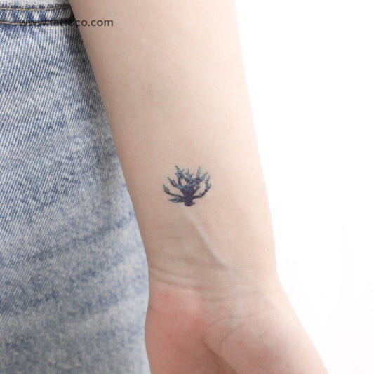 Blue Coral Temporary Tattoo - Set of 3