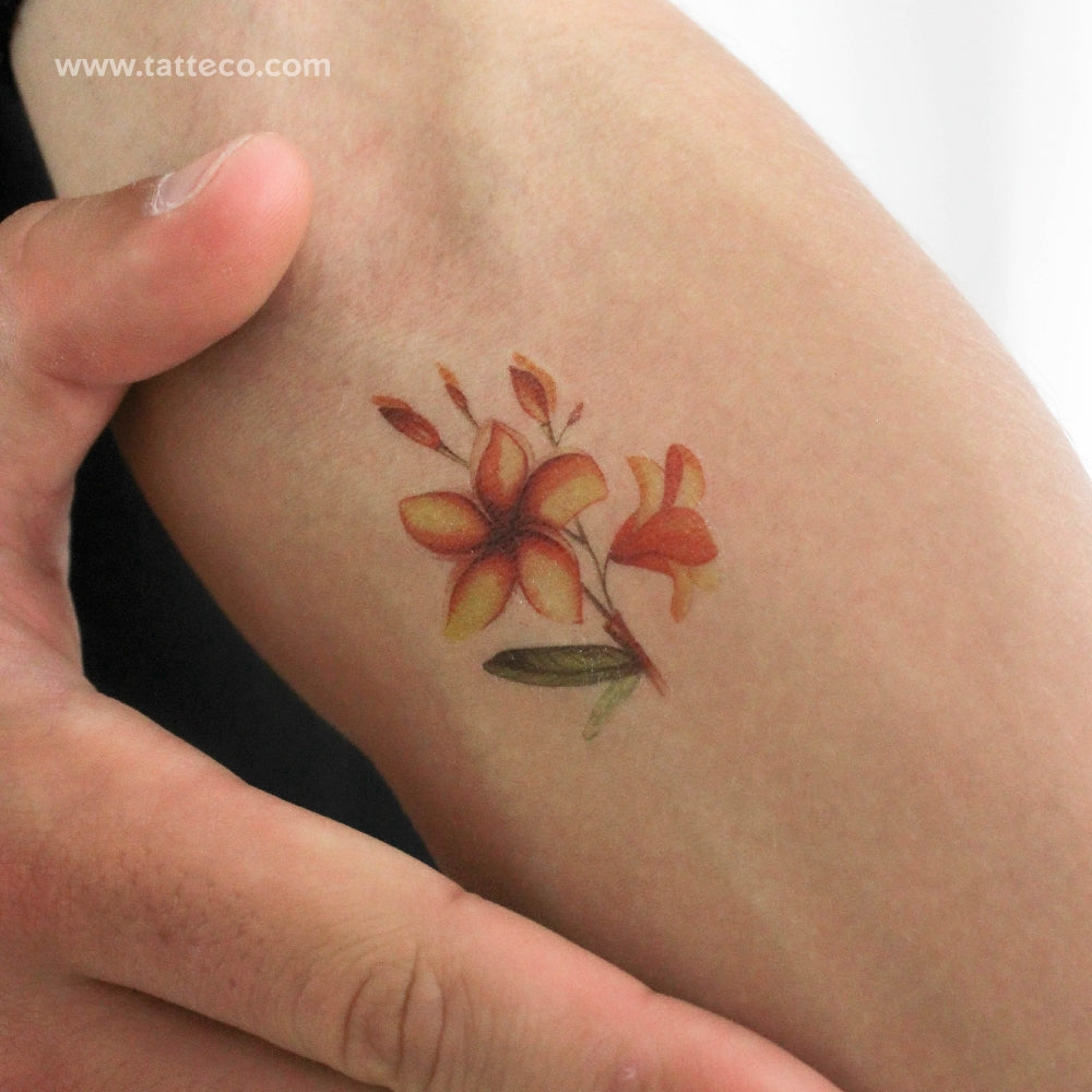 watercolor tiger lily tattoo Watercolor Plumeria Temporary Tattoo