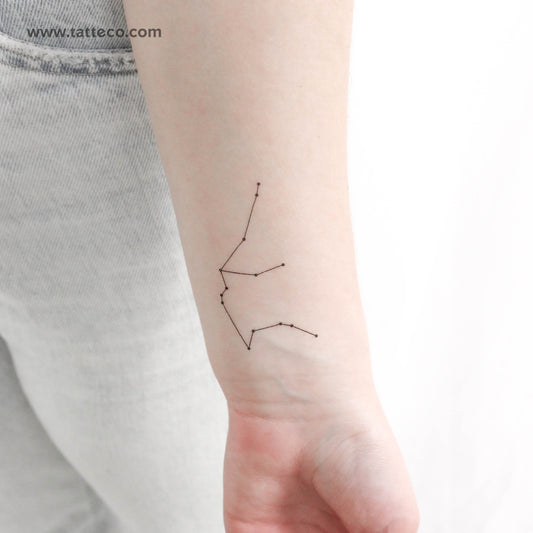 Tatuaje temporal de la constelación de Acuario - Juego de 3