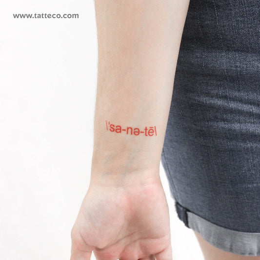 \ˈsa-nə-tē\ Tatuaje Temporal - Conjunto de 3