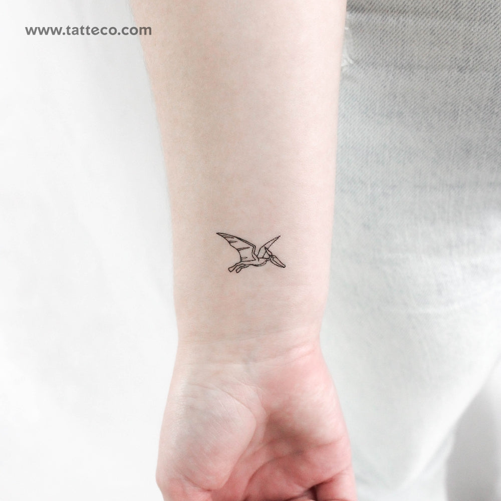 Tatuaje temporal de pterosaurio - Juego de 3