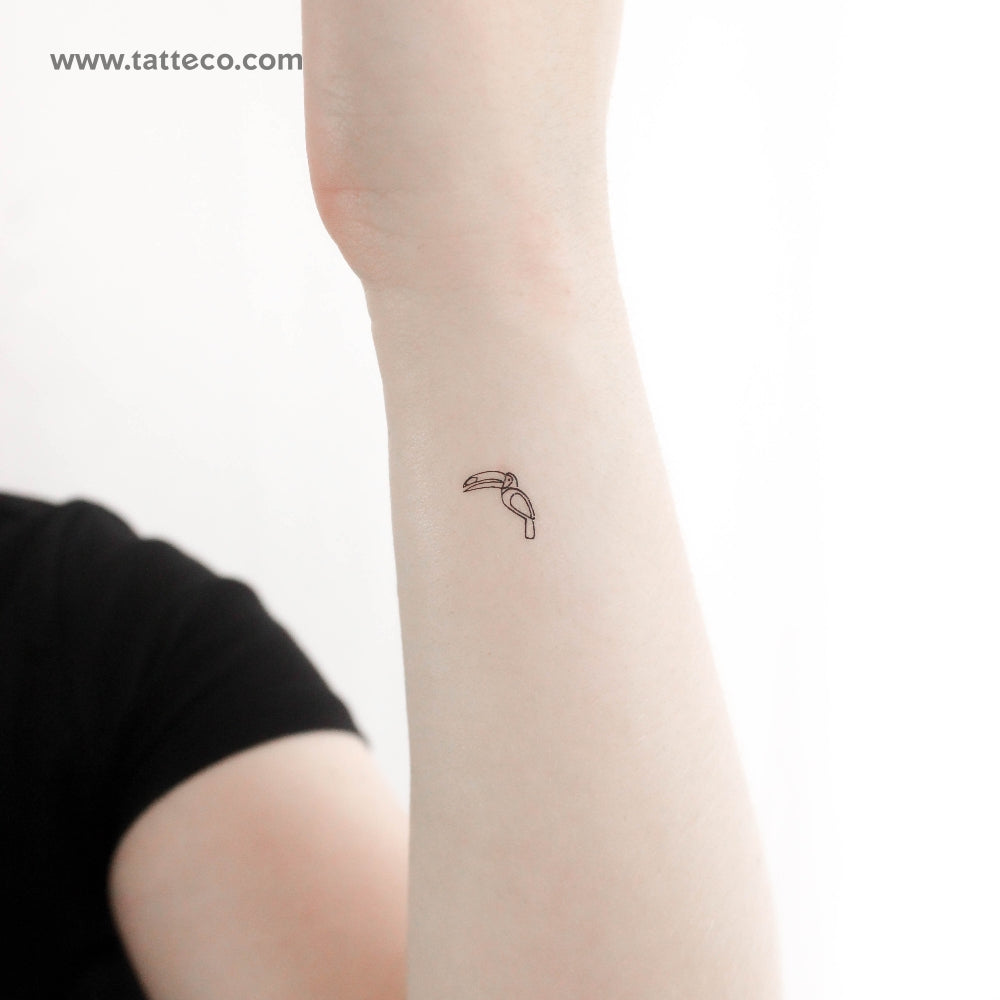Tatuaje temporal de tucán pequeño - Juego de 3