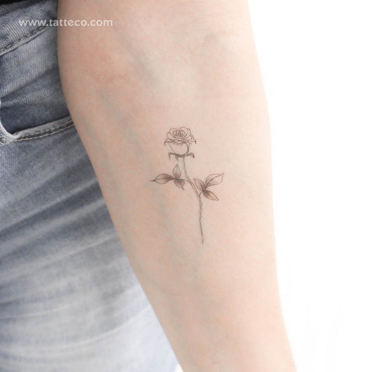 Tatuaje temporal de rosa ilustrativo (juego de 3)