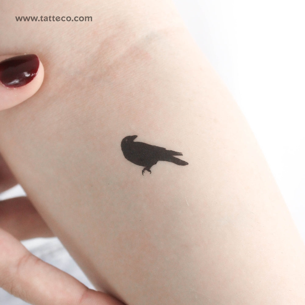 Tatuaje temporal de cuervo pequeño - Juego de 3