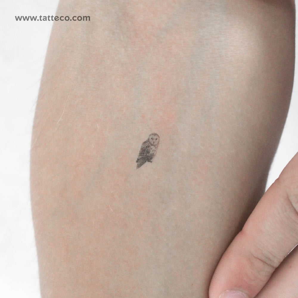 Tiny Barn Owl Temporary Tattoo - Set of 3