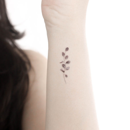 Eucalyptus Temporary Tattoo - Set of 3