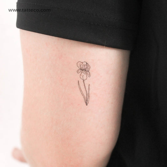 Tatuaje temporal de iris - Juego de 3