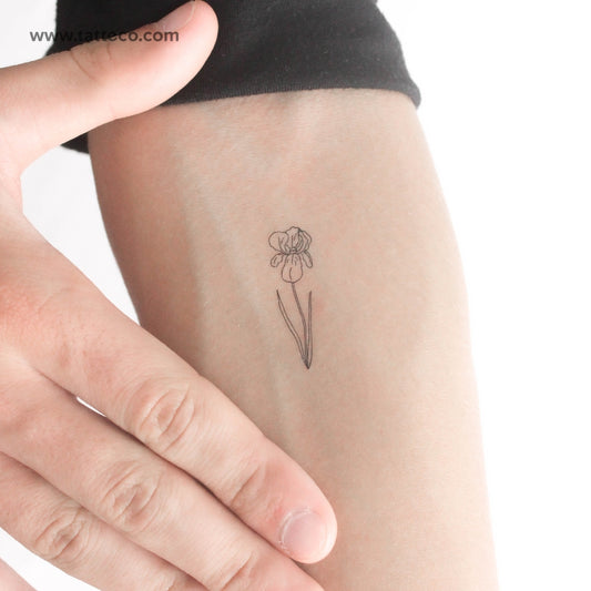 Tatuaje temporal de iris - Juego de 3