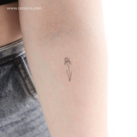 Tatuaje temporal de iris pequeño - Juego de 3