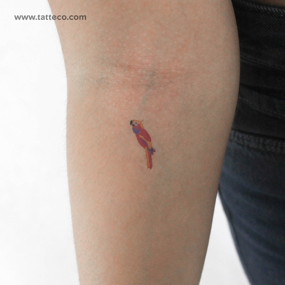 Parrot Temporary Tattoo - Set of 3